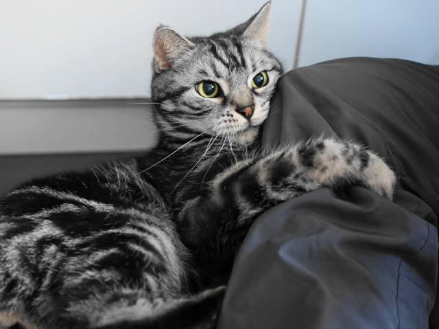 A7C02673 (1).JPG