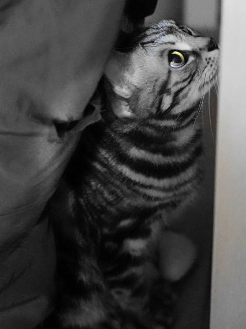 A7C02989 (1).JPG