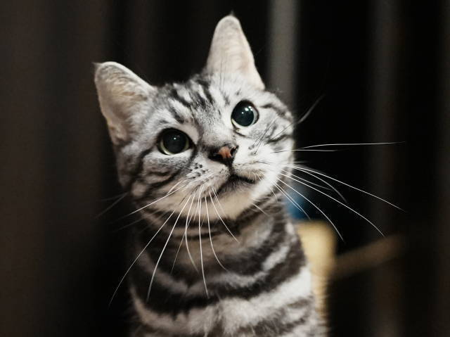 A7C05503 (1).JPG