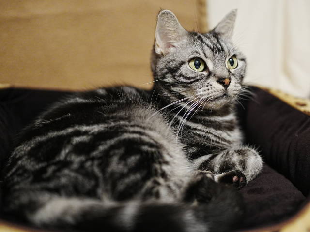 A7C06318 (1).JPG
