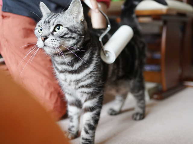 A7C08790 (1).JPG