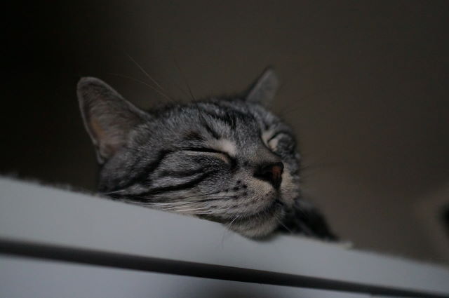 DSC02734.JPG