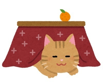 cat_kotatsu_neko.jpg